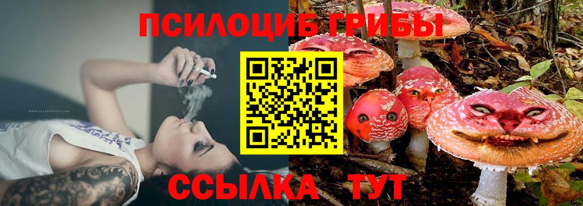 Трёхгорный  Псилоцибиновые грибы Cubensis  Вход с VPN 